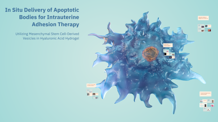 In Situ Delivery of Apoptotic Bodies for Intrauterine Adhesion Therapy ...