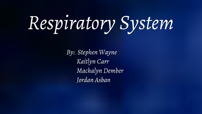 Respiratory System by Stephen Wayne on Prezi