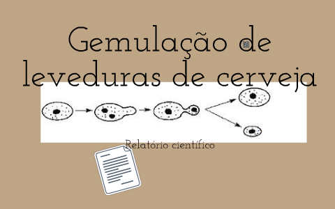 HC - LABREPTransmigração de gametas. Estudo da salpingectomia