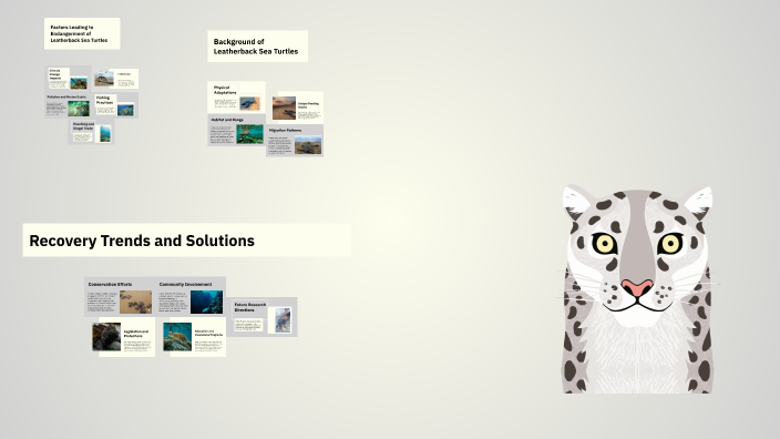Leatherback Sea Turtle: Guardians of the Ocean by Gio on Prezi