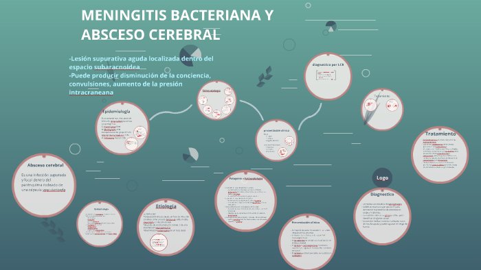 MENINGITIS BACTERIANA Y ABSCESO CEREBRAL by ANGEL YAX on Prezi