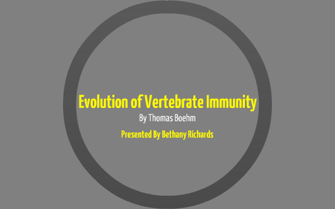 Evolution of Vertebrate Immunity by Bethany Richards