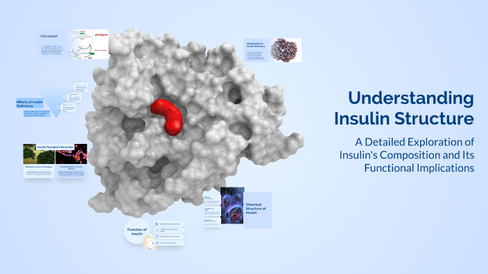 Understanding Insulin Structure by Adaptive Programming For Execu on Prezi