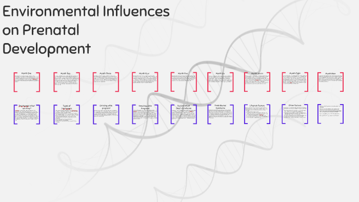 Environmental Influences On Prenatal Development By Morgan Phillips On ...