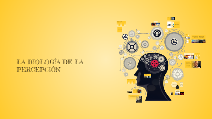 Mapa Conceptual de la Psicología by Daniel Guzman on Prezi