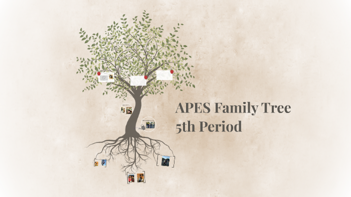 APES Family Tree by Michelle Ravitch on Prezi