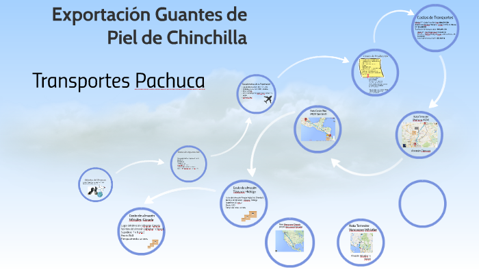 Exportación Guantes de Piel de Chinchilla by Carolina Ahumada on Prezi