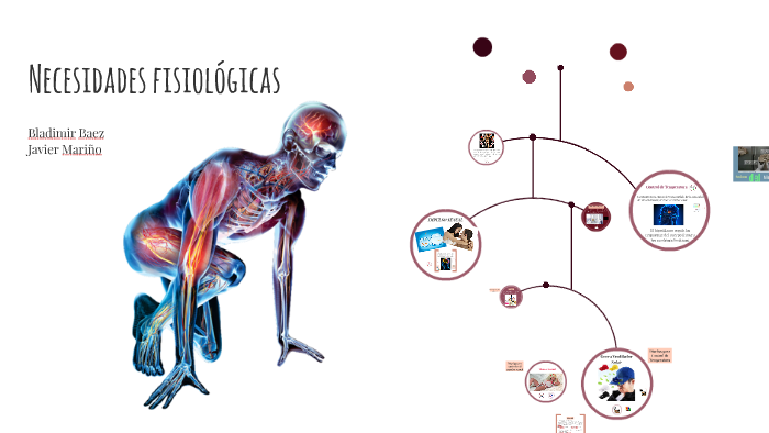 Necesidades Fisiologicas by elid bladimir baez lizarazo on Prezi