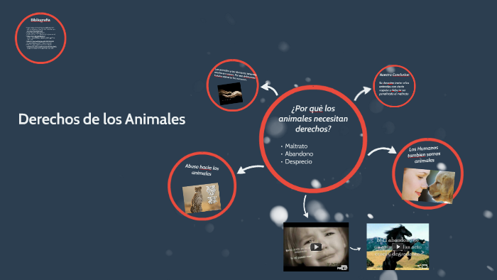 Derechos de los Animales by Pedroq Garcia Delcuis on Prezi
