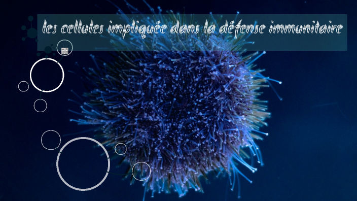 les cellules impliquée dans la défense immunitaire by Sara on Prezi