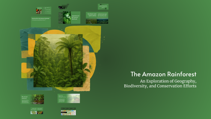 The Amazon Rainforest by Rkan on Prezi