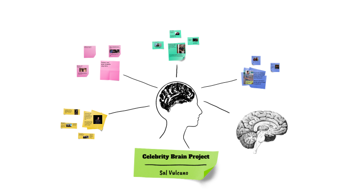 Cele Rity Brain Project Celebrity Brain Project by Chelsea Brazel on Prezi