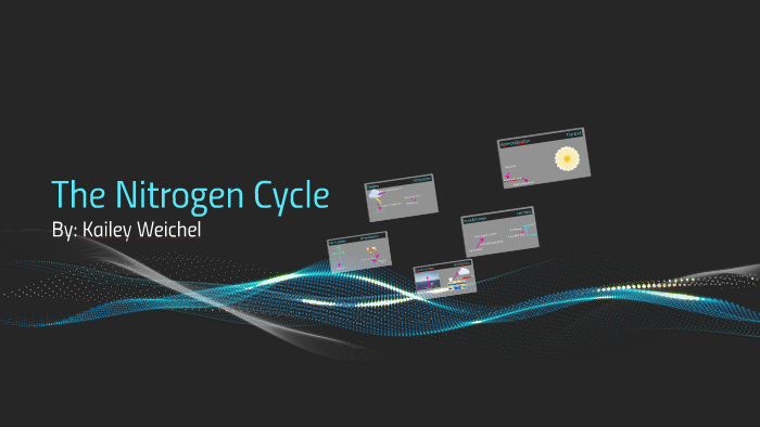 The Nitrogen Cycle by Kailey Weichel on Prezi