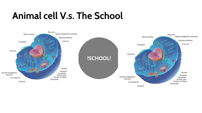 Animal Cell and The school by Dane'Ja Scott on Prezi