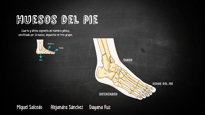 Huesos del pie by Dayana Ruz