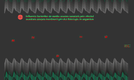Influenta Factorilor De Mediu Asupra Sanatatii Prin Efectul By Ioana Darie On Prezi Next