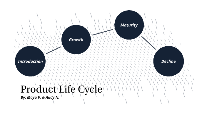 assignment introduction for product life cycle