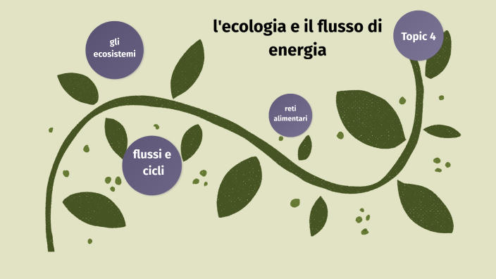 l'ecosistema e il flusso di energia by davide zanetti on Prezi