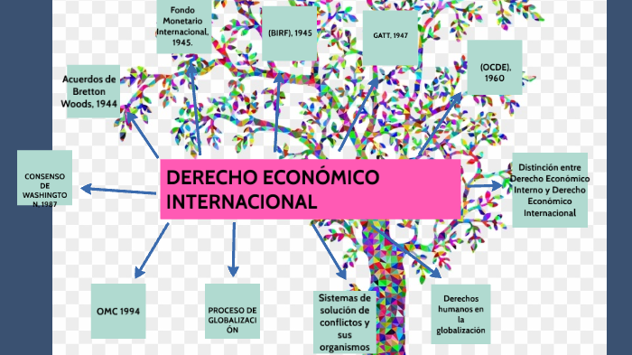 DERECHO ECONÓMICO INTERNACIONAL by karina reyes on Prezi