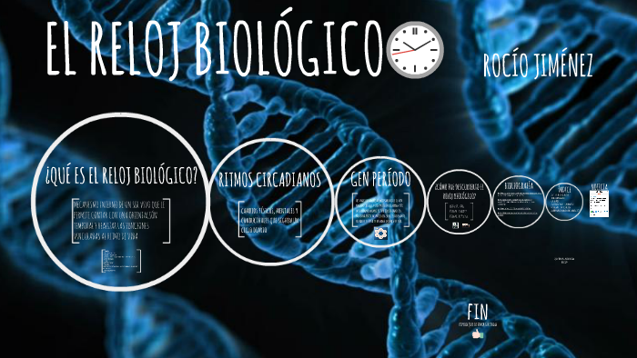 reloj biologico definicion