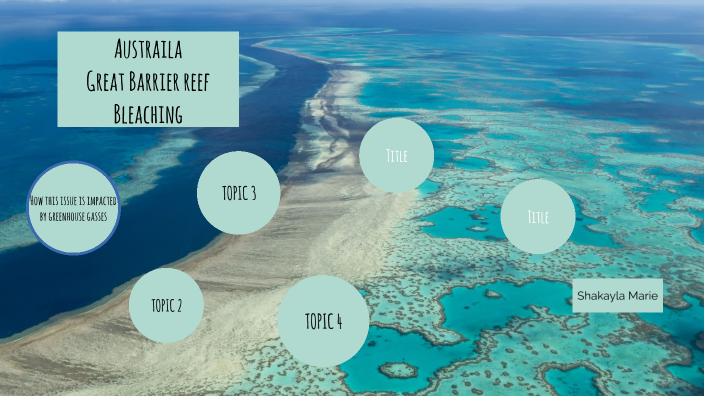 Coral Bleaching of the Great Barrier Reef by Shakayla Self on Prezi