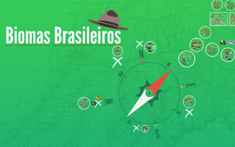 Biomas Brasileiros by Grupo Turma D on Prezi