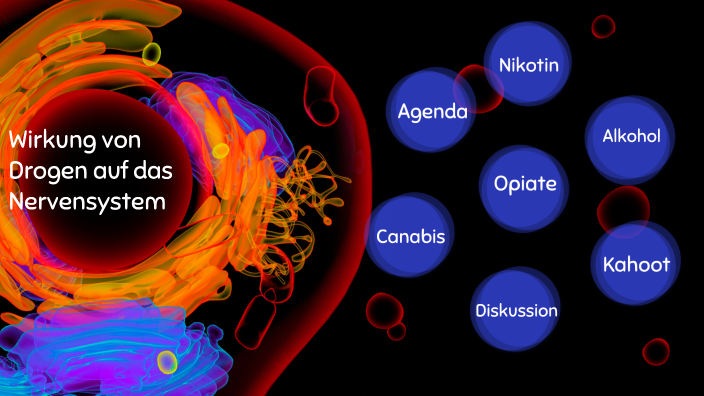 Drogen Wirken Auf Das Nervensystem Wirkung von Drogen auf das Nervensystem by Sarah Winter on Prezi