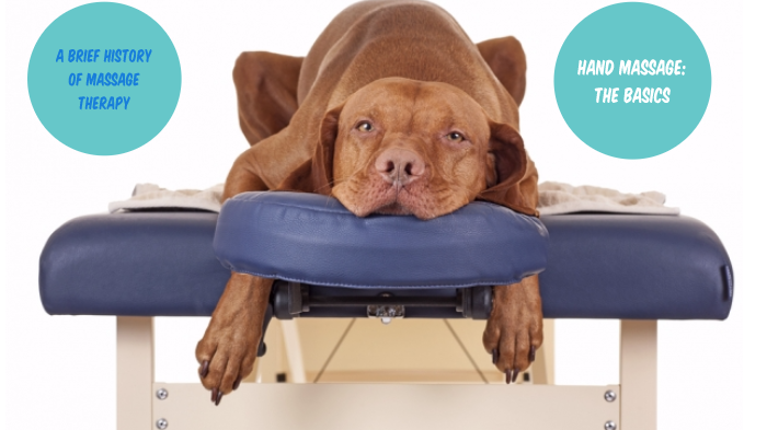 Intro to Massage Therapy by Amanda Ramey on Prezi