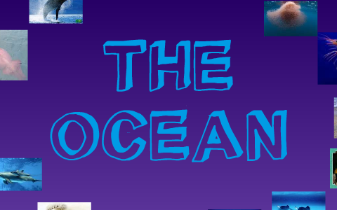 THE OCEAN by kristen Fuller on Prezi