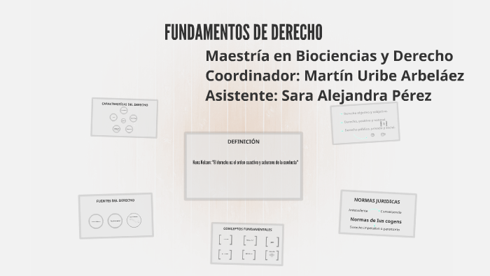 DERECHO, CONCEPTOS BASICOS by Sara Perez on Prezi