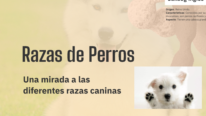 Razas de Perros by daniel daza on Prezi