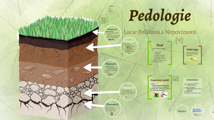 Pedologie by Lucie Polakova on Prezi