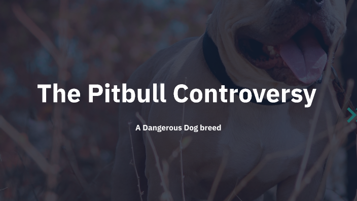 The Pitbull Controversy by Noemi Hernandez on Prezi