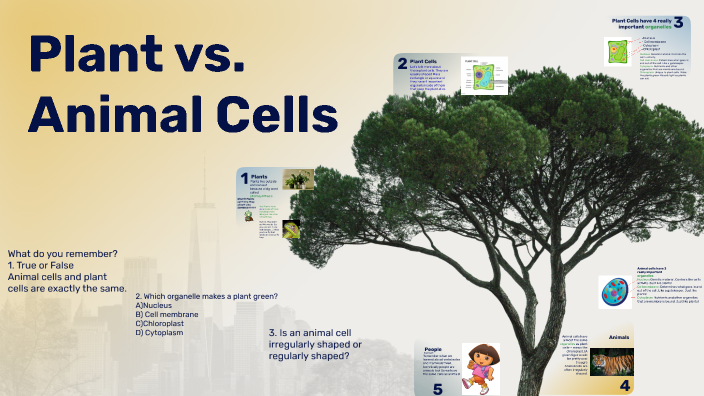 Plant Cells vs. Animal Cells by Madalyn Sams on Prezi