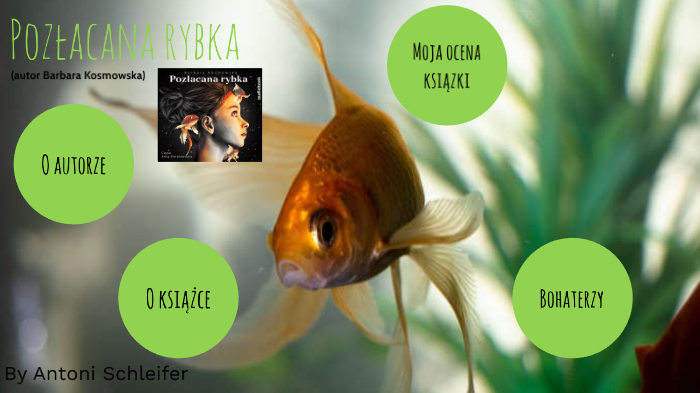 Pozłacana Rybka by Antoni Schleifer on Prezi