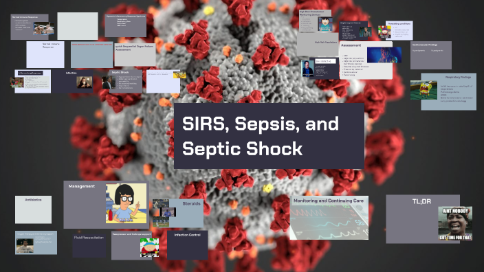 Sirs Sepsis Septic Shock By Rayanna Wolfe On Prezi
