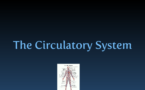 Circulatory System by Evan Tarver on Prezi