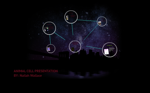 ANIMAL CELL PRESENTATION by Cody TheTopic on Prezi