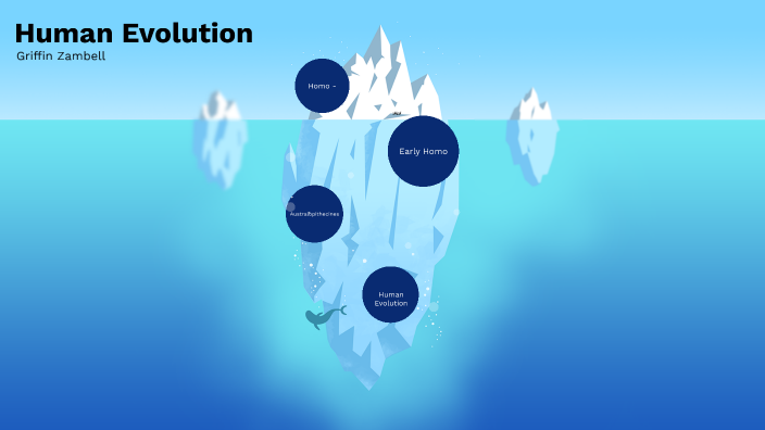 Human Evolution by Griffin Zambell on Prezi