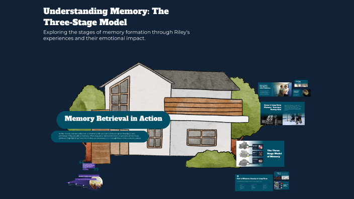 Understanding Memory: The Three-Stage Model by Nurrah Ahmed on Prezi