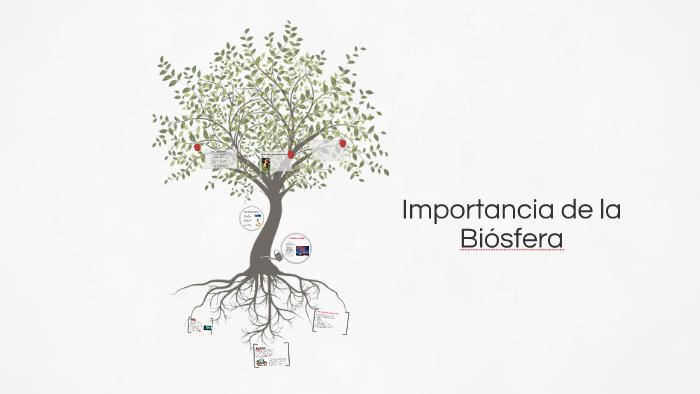 Importancia De La Biósfera By Johan Rubio On Prezi 0220