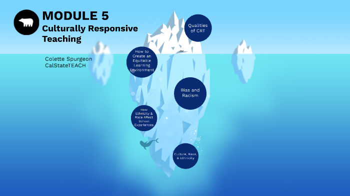 Module 5 Reflection by Colette Spurgeon on Prezi
