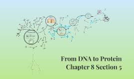From Dna To Protein Chapter 8 Section 5 By Alisha Jarvis