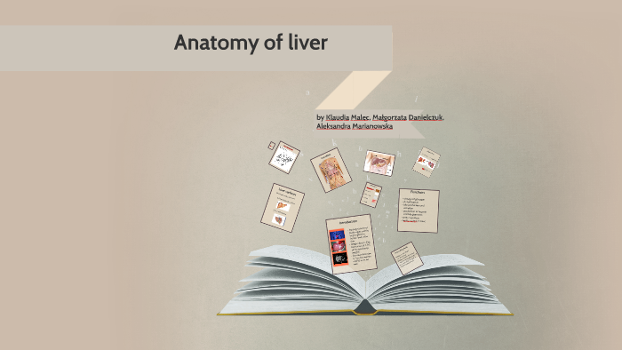 Anatomy of liver by Klaudia Malec