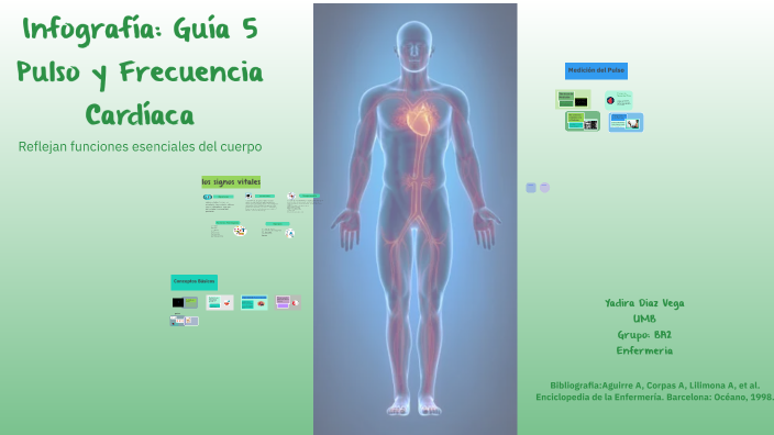 Infografía: Guía 5 Pulso y Frecuencia Cardíaca by yadira diaz on Prezi