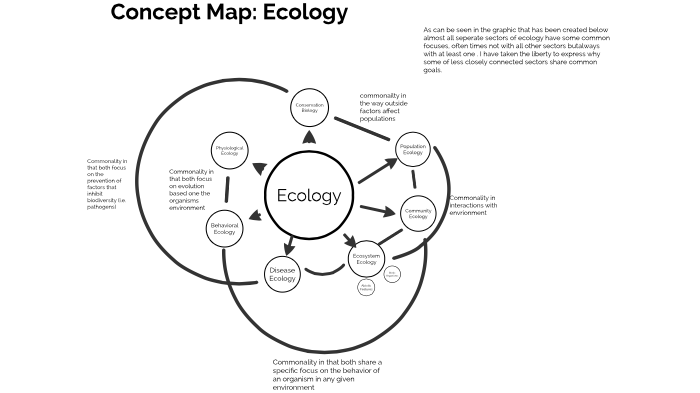 Ecology Concept Map - vrogue.co