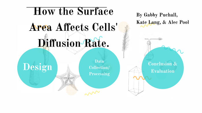 Cell Size Lab by Gabby Puchall on Prezi
