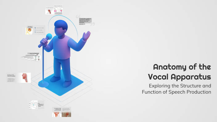 Anatomy of the Vocal Apparatus by vitória gomes on Prezi