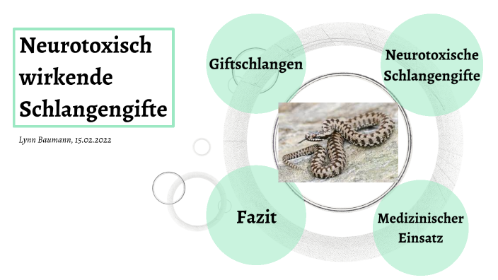 Wirkung Von Schlangengift Auf Das Nervensystem Kopie von Schlangengift als Neurotoxin by Lynn Baumann on Prezi