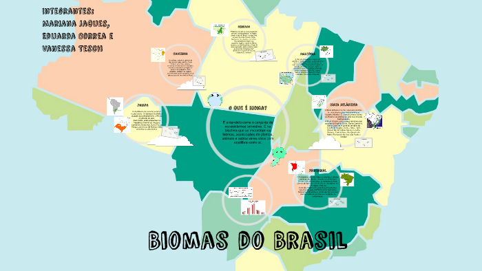 Biomas do Brasil by Mariana de Oliveira on Prezi